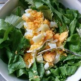 タンパク質約13ｇ摂取可能　包丁なしシンプルサラダ